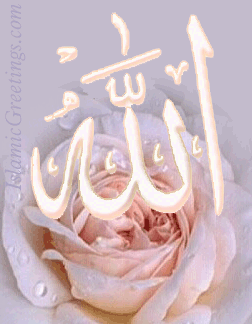 ya salam